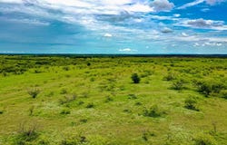 Tbd FM 175, Jacksboro, TX 76458