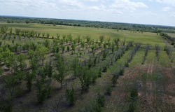 Tbd Fm-2861, Comanche, TX 76442