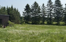 921 Van Buren Road, Caribou, ME 04736