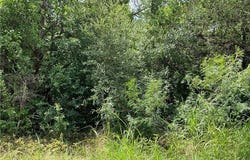 Tbd Whippoorwill Drive, Bastrop, TX 78602