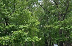 Lakeshore Parkway lot: 62, Brandenburg, KY 40108