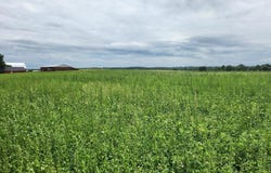 503 W NORTH ROAD, Cadott, WI 54727