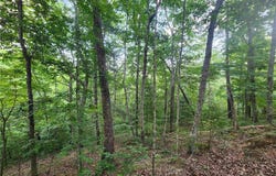 932 Apex Court, Ranger, GA 30175
