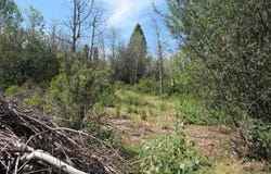 0 Forest View Drive, Chiloquin, OR 97624