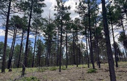 163 Goleta Court, Rociada, NM 87742