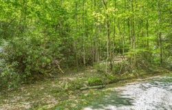 Lakeview Drive, Tryon, NC 28782