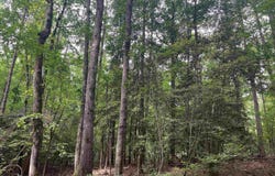 Rosston, AR 71858