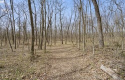 2007 N Farm Rd 89, Springfield, MO 65802