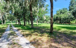 Blackburn Road, Pierson, FL 32180