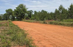 028 Marvin Murphy, Ellaville, GA 31806