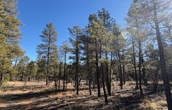 3211 W Black Oak Loop, Show Low, AZ 85901
