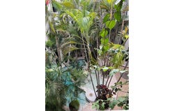 9 Royal Palms, Playa del Carmen, TX 77710