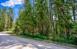 3264 Shady Ct, Valley, WA 99181
