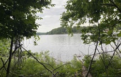 Mallard Drive, Alger, MI 48610