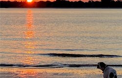 44 Masters Drive, Daufuskie Island, SC 29915