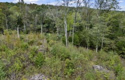 HIGHWAY 75 lot: 0, REMLAP, AL 35133