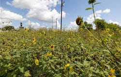 3837 Callihan Road, Luling, TX 78648