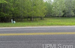 Lot 392,393 Tipperary, Gladstone, MI 49837-1245