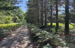 Arquilla Creek Road, Harrietta, MI 49638
