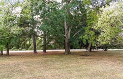 Carlton Drive, Rockmart, GA 30153