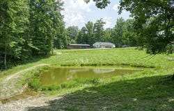 176 Knepp Rd, Deer Lodge, TN 37726