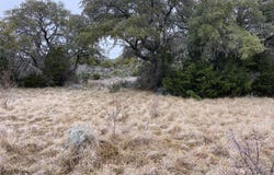 County Road 450, Rocksprings, TX 78880