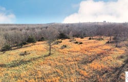151 State Road FF, Edwards, MO 65326