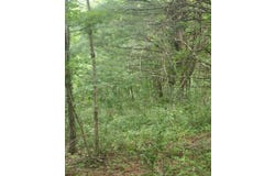 Lot 38 Hickory Hollow Ln, Copper Hill, VA 24079