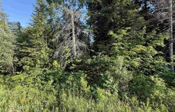 TBD H58, Munising, MI 49862