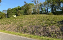 00 Tawannah Cir, Hokes Bluff, AL 35903