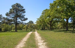 490 John Craft RD, Red Rock, TX 78662