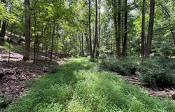 BEAR BRANCH ROAD, WESTMINSTER, MD 21157