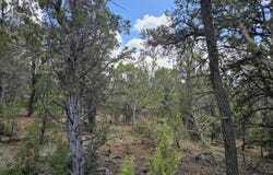 3221 Elk Springs Drive, Glenwood Springs, CO 81601