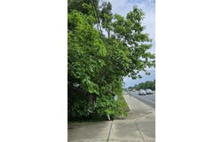 12267 N US HIGHWAY 301, OXFORD, FL 34484