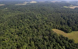 0 Dan Station Road, Olaton, KY 42361