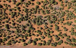 233 Co, Concho, AZ 85924