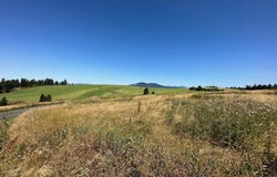 1204 Morris Road, Princeton, ID 83857
