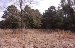 10060 Scenic View RD lot: 23, Ozark, AR 72949