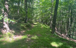 17197 PATTI Lane, TOWNSEND, WI 54175