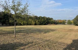 Pecan, Bandera, TX 78003