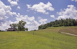 566 Ellison Ln, Nallen, WV 26680