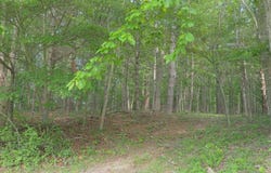 Tbd Howlett St., Hillsville, VA 24343