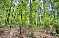 Winn School Road, Hosston, LA 71043