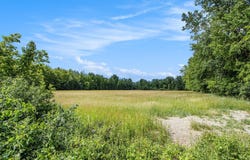 50th Street, Bangor, MI 49013