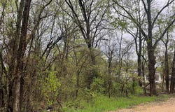 246 4th Street, Cooper, TX 75432
