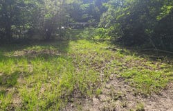 19296 Pete Hickman Road, Saucier, MS 39574