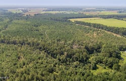 28.6 Acres Fountaintown Road, Beulaville, NC 28518