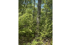 LOWER DAM Road, MOUNTAIN, WI 54149