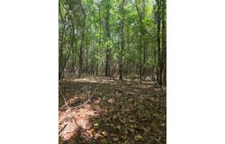 Tobias Rd, Sardis, GA 30456
