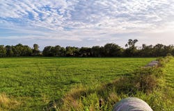 000 W Farm Road 124, Bois D Arc, MO 65612